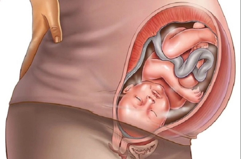 Sinh Con Tự Nhiên – Hành Trình Diệu Kỳ Và Những Lợi Ích Vàng Cho Mẹ Và Bé
